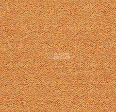 Ковровая плитка Tessera Chroma 3623 Tangerine фото 1 | FLOORDEALER